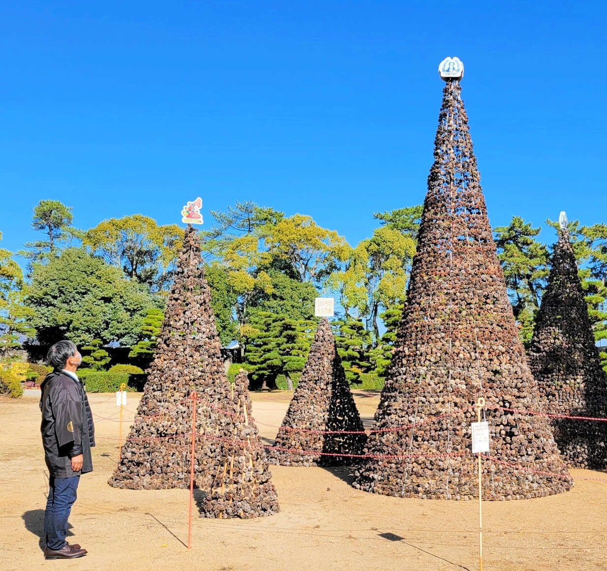 松ぼっくりツリー登場 高松・玉藻公園 | ニュース | COOL KAGAWA 